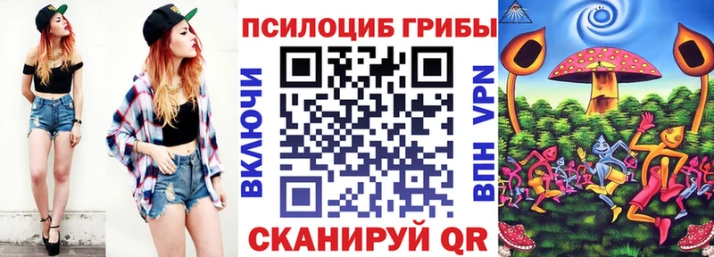 Галлюциногенные грибы Psilocybe  Бирюч 
